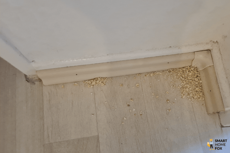 Der Samsung Jet Bot AI Plus reinigt in einer Ecke.